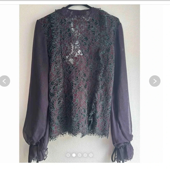 Self  Portrait Lace and chiffon blouse - Picture 8 of 8